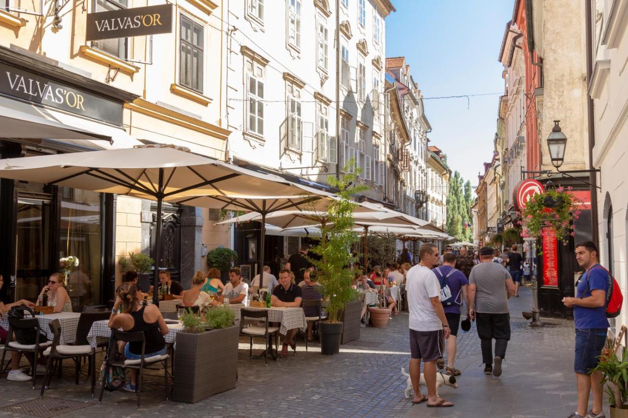 City Center Apartment With Parking Ljubljana Luaran gambar